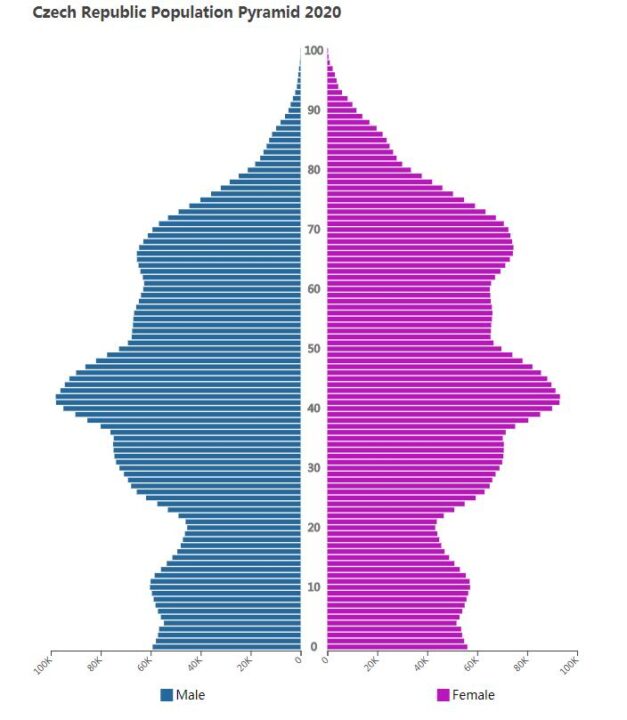 Czech Republic Population Pyramid 2020