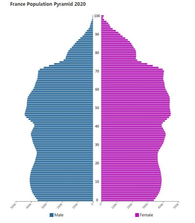 France Population Pyramid 2020