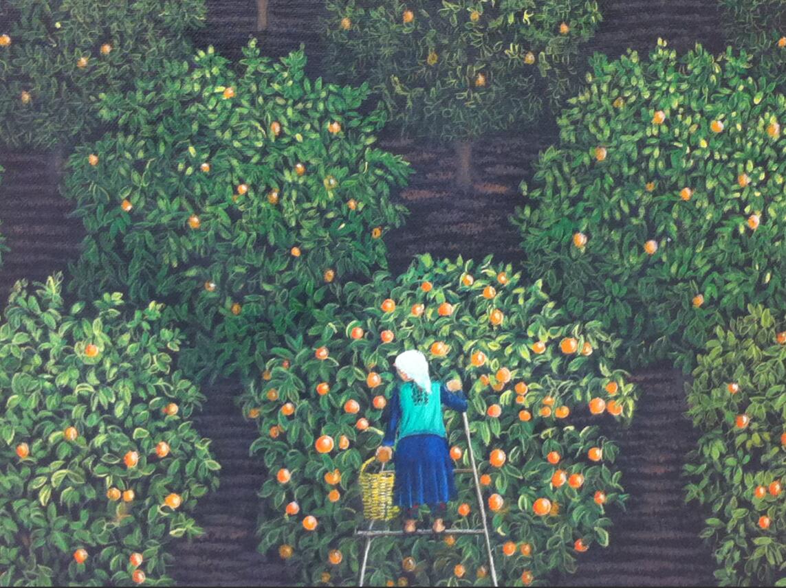 Orange pickers in Turkey